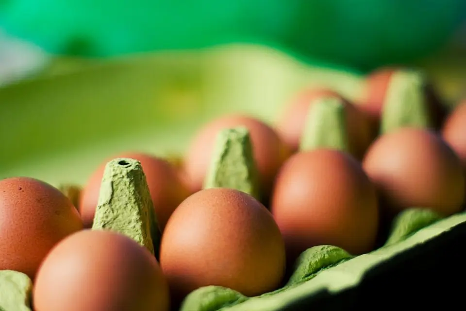 Eggs & Dairy