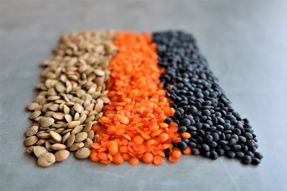 Legumes & Soy